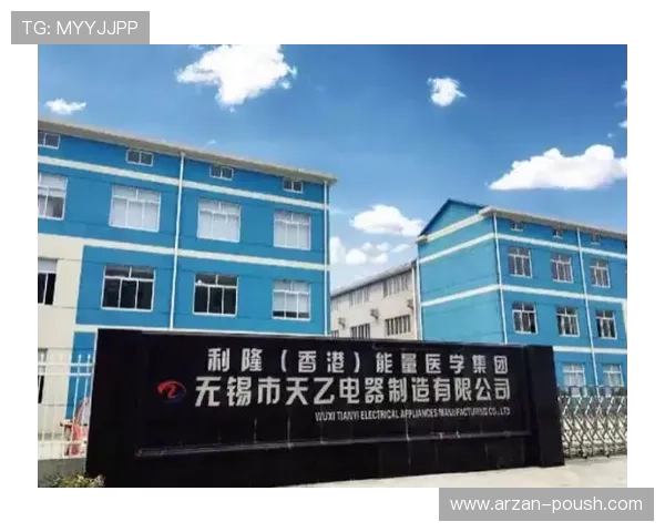 利来国际ag集团的企业文化与社会责任实践案例详解